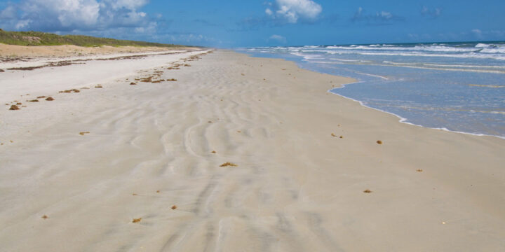 Apollo Beach sand