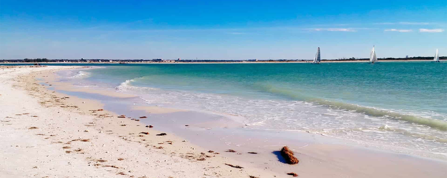 Honeymoon Island Beach