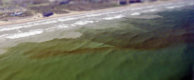 Red Tide is visible from above